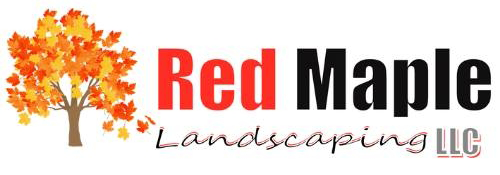 Red maple logo