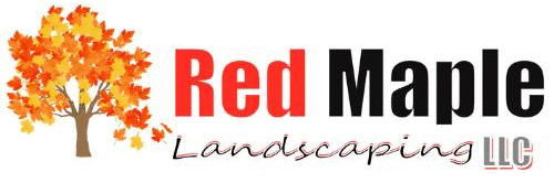 Red maple logo