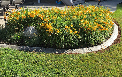 Garden+bed+by+H+and+M+landscaping